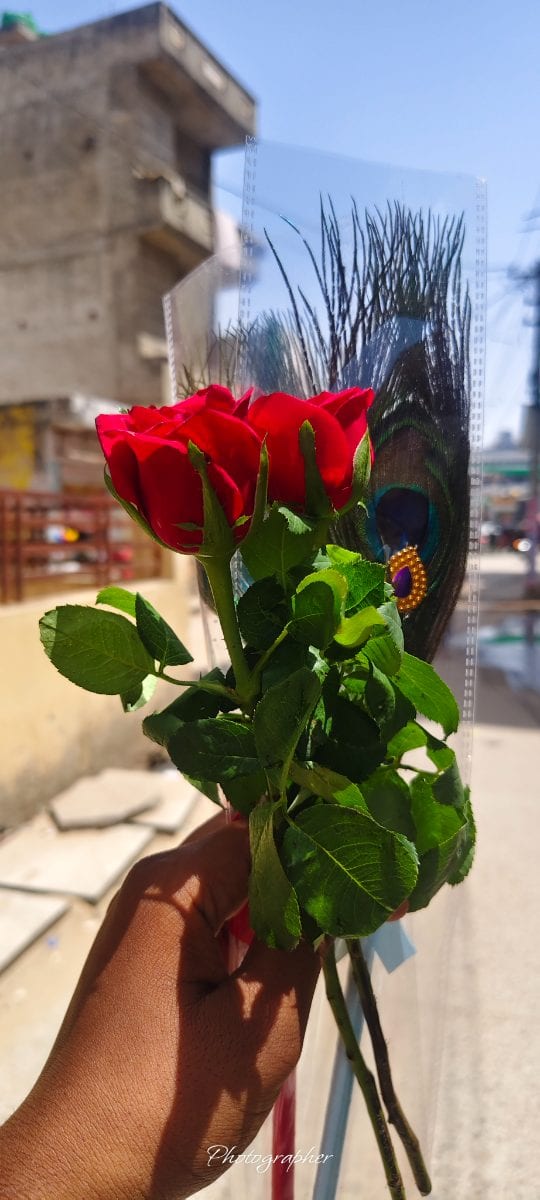 Mohit jediya  — private photo