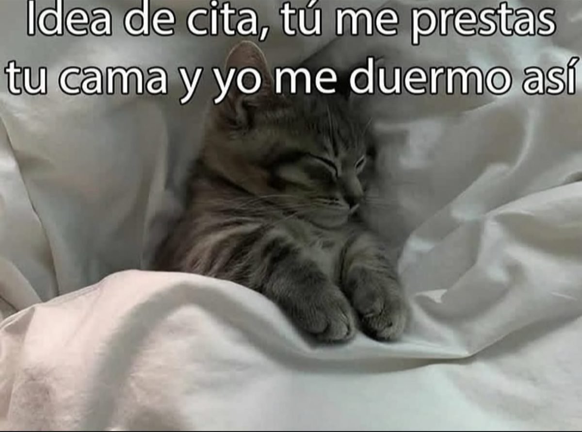 Luna — Sugar Baby in México Distrito Federal