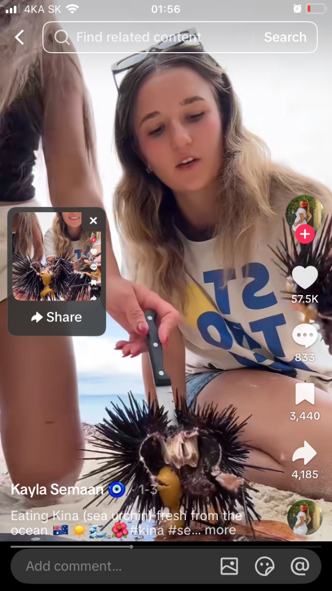Karolína  — Sugar Baby in Prešporok
